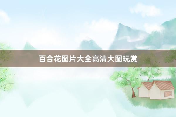 百合花图片大全高清大图玩赏